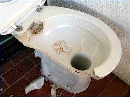 A broken toilet means a health and safety issue